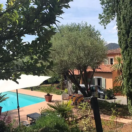 Independent Studio In Private Garden
