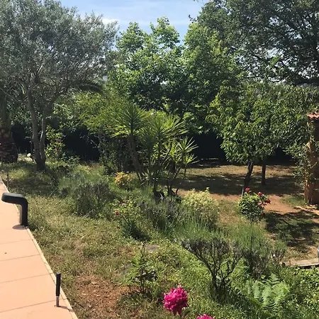 Apartamento Independent Studio In Private Garden *